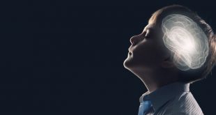 تعزيز الذاكرة البشرية من خلال زرع الدماغ