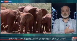 الكوكب في خطر.. مليون نوع من النباتات والحيوانات مهدد بالانقراض